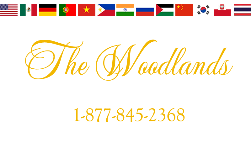 The Woodlands Auto Title